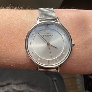 Skagen Anita Lille Steel Mesh Watch